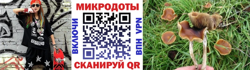 Галлюциногенные грибы прущие грибы  Купить  Павловский Посад 